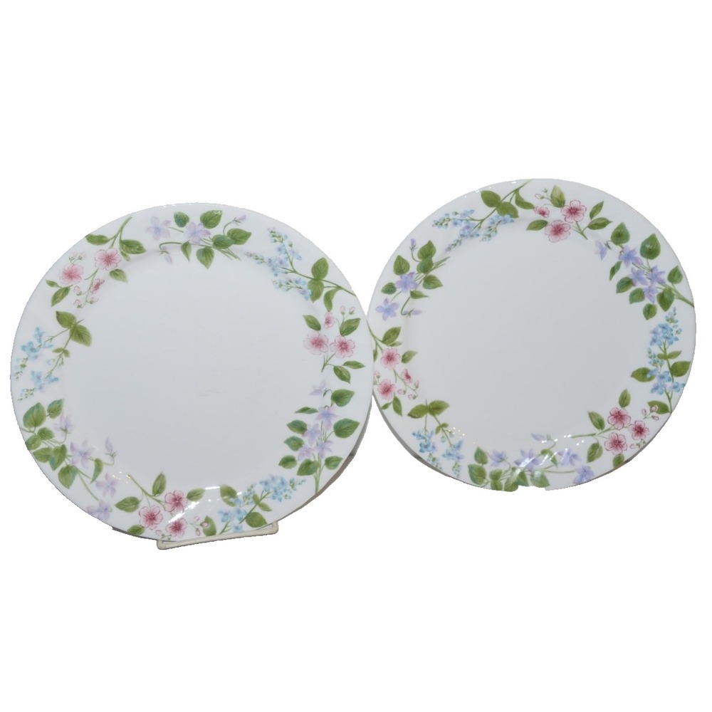 Corelle Delicate Array Dinner Plates 10 1/4" set of 2